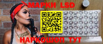 гидра Ставрополь