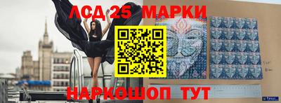 гидра Ставрополь