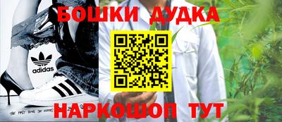 гидра Ставрополь