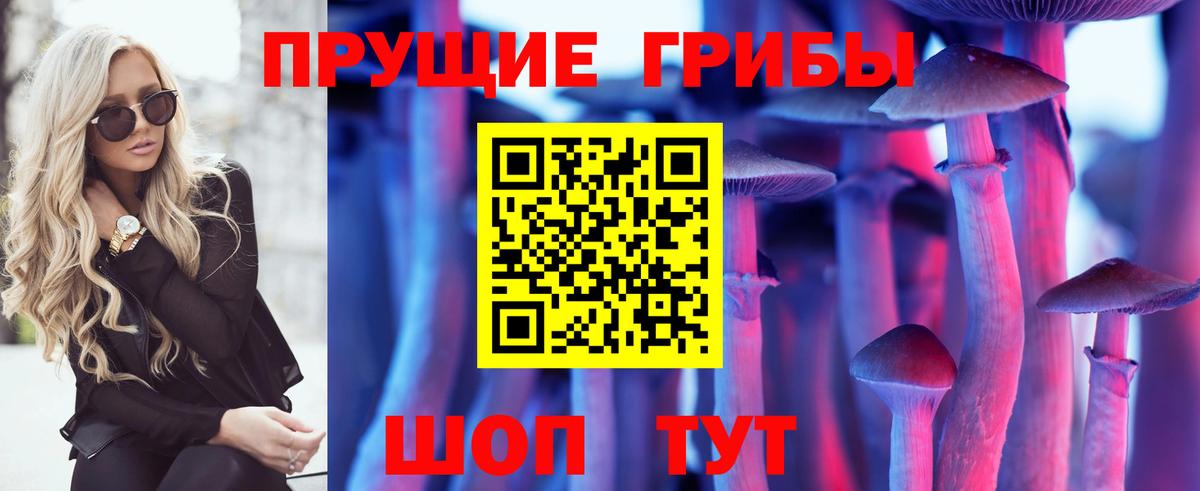 где найти наркотики  Псилоцибиновые грибы MAGIC MUSHROOMS  Вход с VPN  Псков 