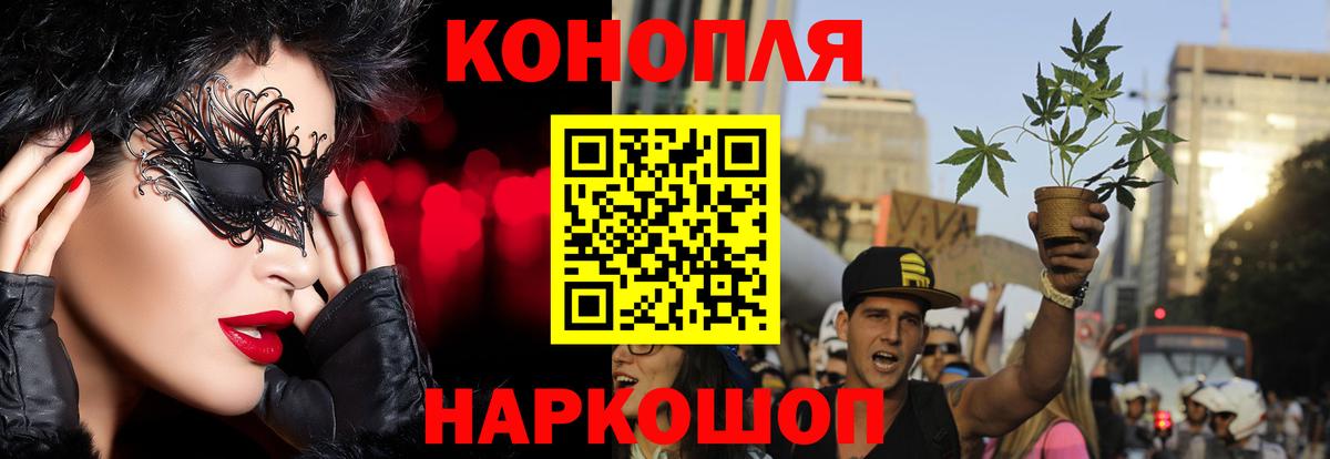 Бошки Шишки Amnesia Псков